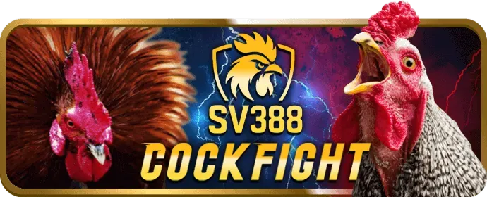 Video Slot Sodo6789